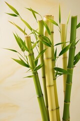 Fototapeta premium abstract background with mature bamboo and leaves in a blurred background with a beautiful bokeh,