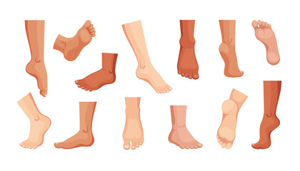 human feet set. podiatry footstep art, man and woman feet in different poses views, health food leg. vector cartoon objects collection.