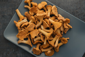 Organic wild chanterelle mushrooms on plate on black stone background. Top view.