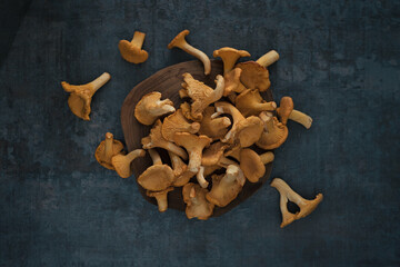 Organic wild chanterelle mushrooms on black stone background