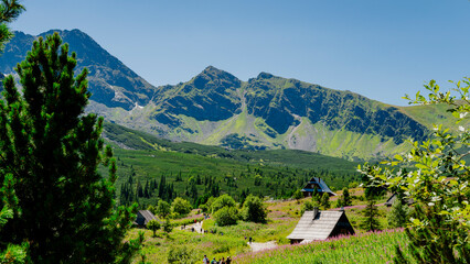 Polish mountains. Tatra Mountains. Gąsienicowa Valley. © Piotr