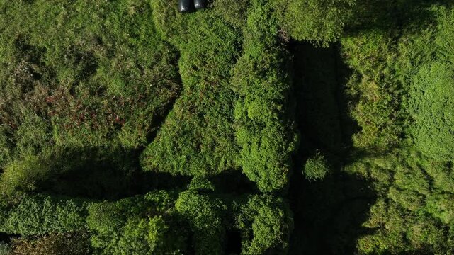 Castle Saunderson, County Cavan, Ireland, September 2022. Drone in Bird's Eye View tracks over old ruined grey stone Gothic Revival Castle surrounded by wild bushes with green trees growing within.