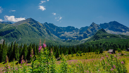 Polish mountains. Tatra Mountains. Gąsienicowa Valley. © Piotr