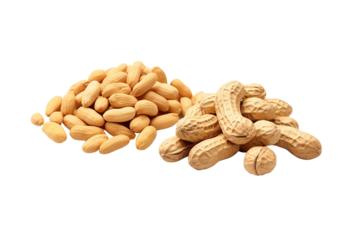 A Heap of Shelled Peanuts and Some in Their Shells on a White or Clear Surface PNG Transparent Background