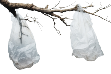 Plastic Ghosts Haunt a Bare Winter Branch on a White or Clear Surface PNG Transparent Background