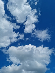 A blue sky with puffy clouds.