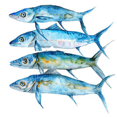 High-Quality   Remora saltwater   Transparent PNG Images