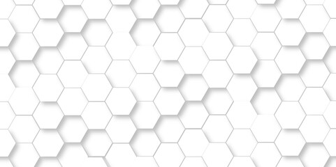 Naklejka premium Abstract geometric grid background with hexagon, modern wall vector polygonal pattern. Futuristic abstract honeycomb technology white background. Luxury white hexagon pattern.