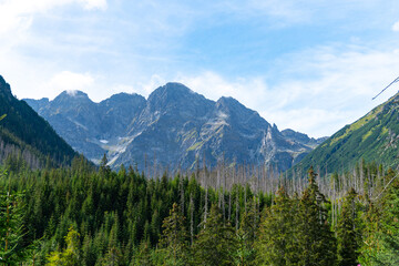 mountain view forest landscape Poland Zakopane