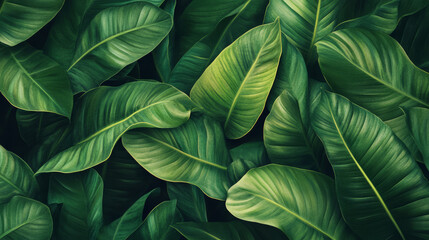 detailed, realistic, close-up, lush, green, tropical leaves, layered, overlapping, natural textures, veins, rich green hues, intricate details, leaf surfaces, natural, vibrant, depth
