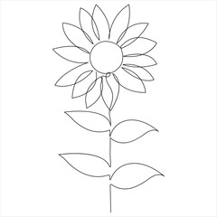Continuous single line drawing of sunflower vector style illustration