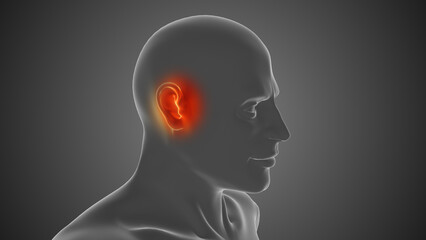 Ear discomfort in the human body