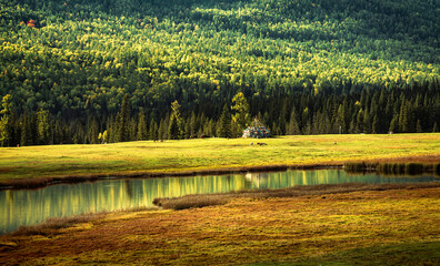 Lone yurt with prayer flags on the grassland under the sunshine on the shore of Yaze Lake in Kanas...