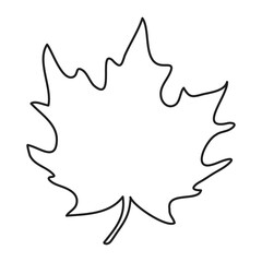 outline silhouette of maple leaf isolated on transparent background, coloring, vector