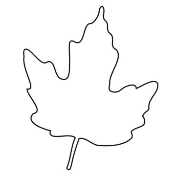 recommend clip art: outline silhouette of maple leaf isolated on transparent background, coloring, vector