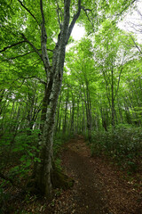 Climbing Mt. Bandai,  Aizu, Fukushima