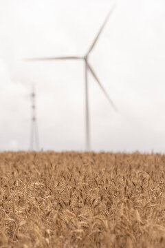 Blurred image of a wind turbine in a golden wheat field, accurately capturing the essence of renewable, sustainable energy, blending agriculture with modern technology.
