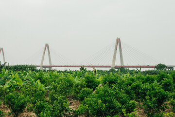 The Nhat Tan Bridge Japan Friendship Bridge is a cable-stayed bridge crossing the Red River in Hanoi, vietnam - 2 may 2024