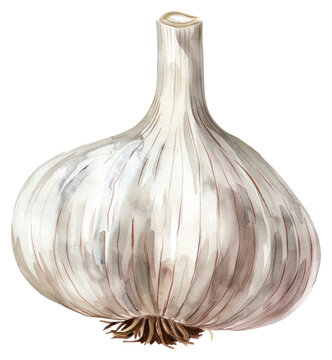 PNG Garlic garlic vegetable produce.
