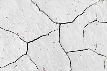 Cracked earth background texture