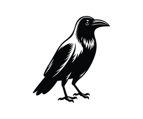 Obraz premium Black Crow Vector