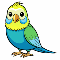 Budgerigar Budgie vector illustration