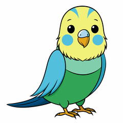 Budgerigar Budgie vector illustration