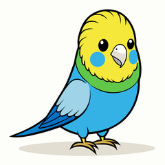 Budgerigar Budgie vector illustration