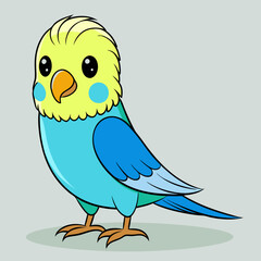 Budgerigar Budgie vector illustration
