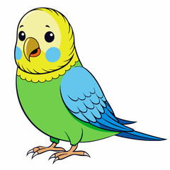 Budgerigar Budgie vector illustration