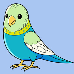 Budgerigar Budgie vector illustration