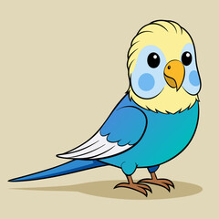 Budgerigar Budgie vector illustration
