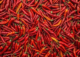 Fototapeta premium Vibrant red dried whole chili peppers arranged in a repeating pattern create a spicy hot textured background or wallpaper design.