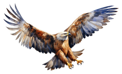 Fototapeta premium PNG Vulture buzzard animal flying.