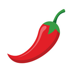 Vector red chilly. Hand drawn illustration