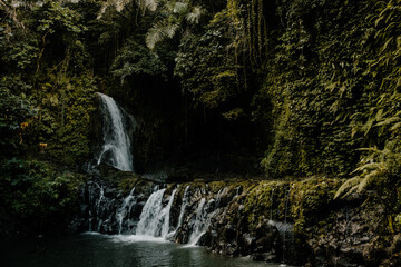 Obraz premium Waterfall in Bali Indonesia