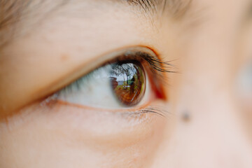 Charming beauty with a macro view of a young woman's brown eyes, which reveal intricate and amazing...