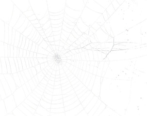 Spider web silhouette against black wall - halloween theme dark background