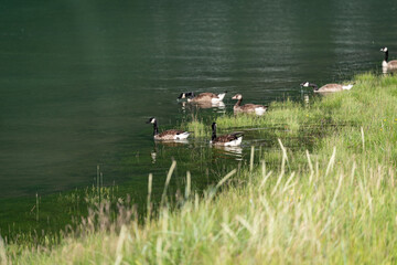 view over Rauma valley in Andalsnes Norway fjord. with mountains and Rauma river in the background