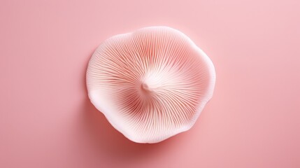 Fototapeta premium Pink Mushroom on Pink Background