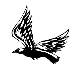 Vector drawing. Big flying bird