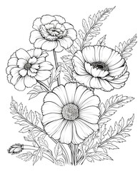 flower outline illustration coloring book page design, flower black and white line art drawing coloring book pages for children and adults,Line art garden flowers set. Botanical illustration