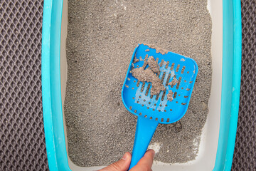 Cleaning in litter box. Bentonite cat litter. Man holds blue plastic shovel