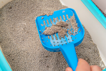 Cleaning in cat litter box. Blue cleaning shovel closeup