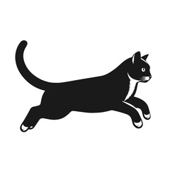 Clean black and white vector silhouette of a beautiful cat isolated on white background