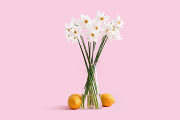 Daffodil flowers in vase with lemons on pink background