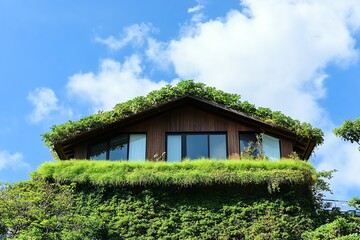 Sustainable house with green roof and lush vegetation, showcasing eco-friendly architecture against a clear blue sky.