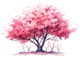 Obraz premium PNG Blossom flower plant tranquility.