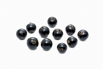  Currant black on white background