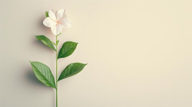 An artistic representation of a growing business concept, featuring a blossoming plant against a neutral backdrop. The image offers space for customization with text or graphics, ideal for